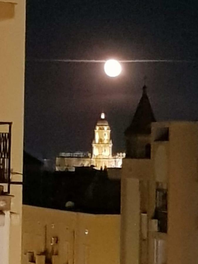 Apartamento Con Vistas A La Catedral A 15 Minutos Del Centro Málaga Eksteriør bilde